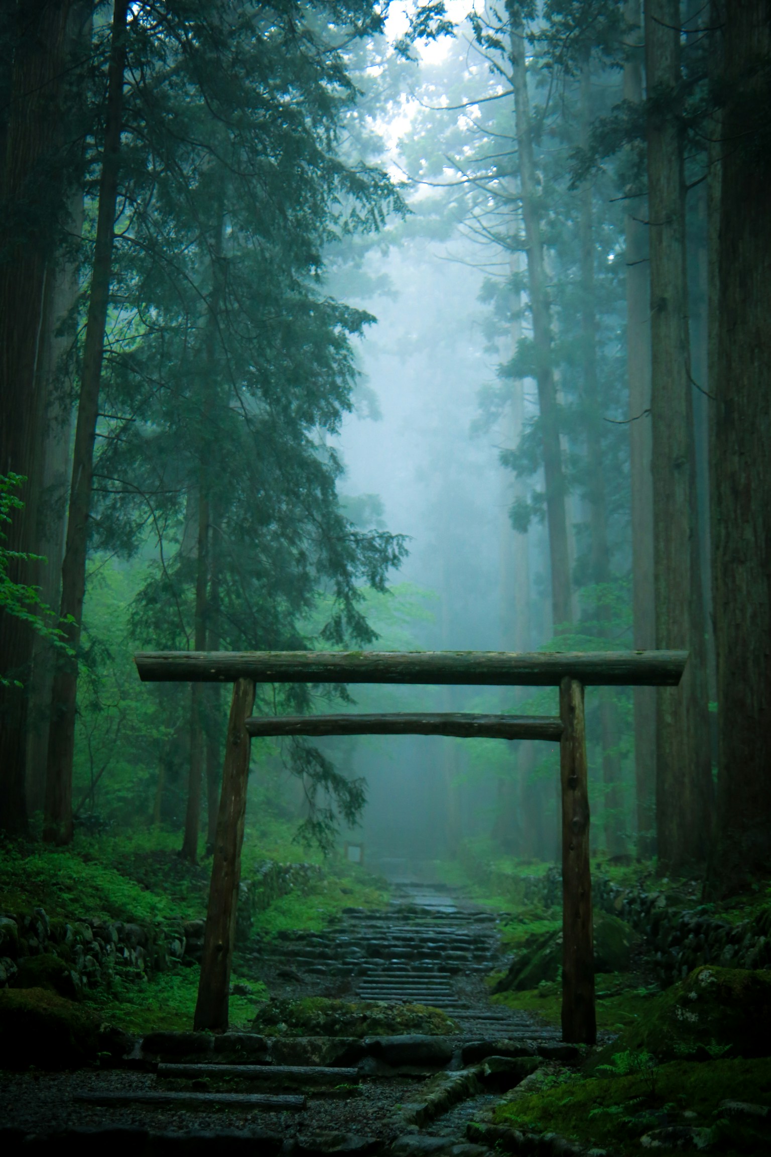 photo-znHOzPJc69xUMhEPsENi-image