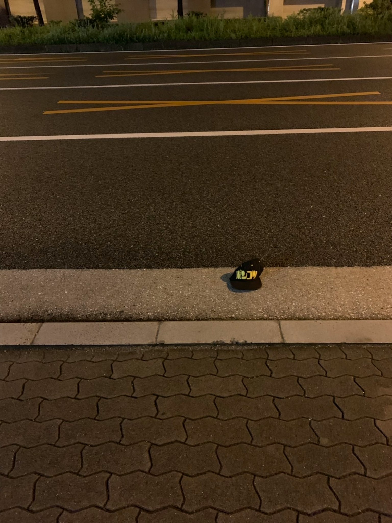 photo-znJDQL8pFB04ZH5uIgEb-image