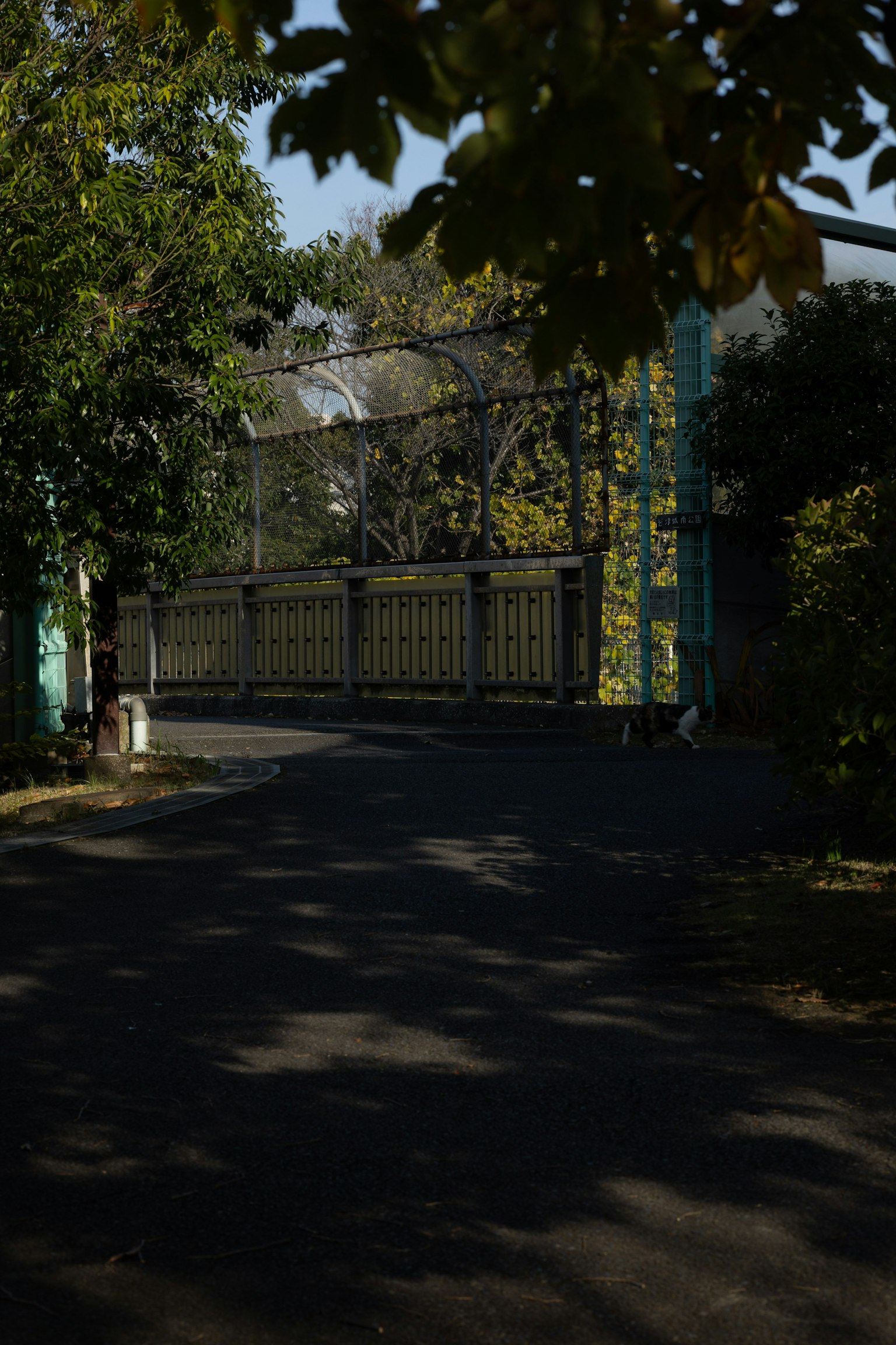 A pathway with a metal gate surrounded by green trees