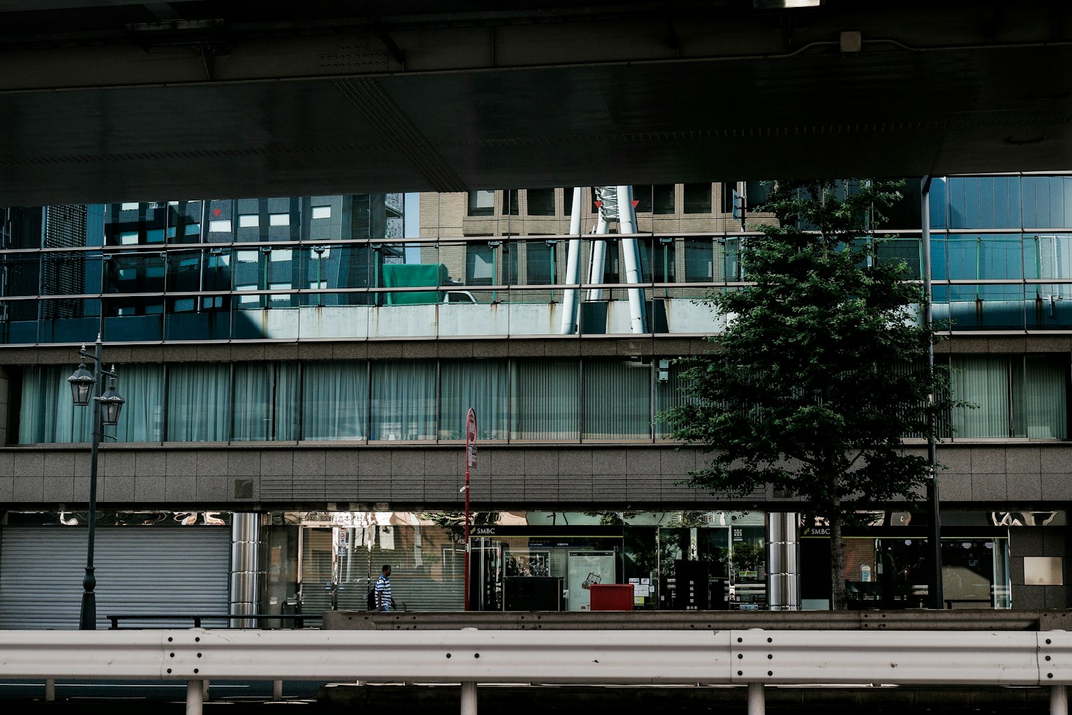 Reflejos de edificios en vidrio con un árbol en primer plano