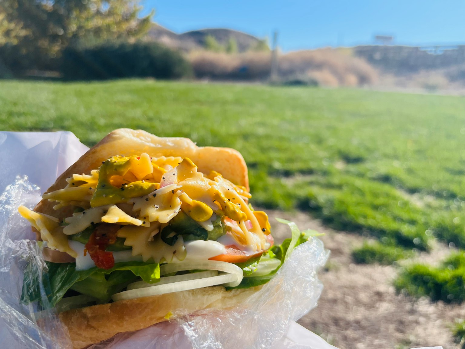 Bánh sandwich với nhiều nguyên liệu tươi trong công viên