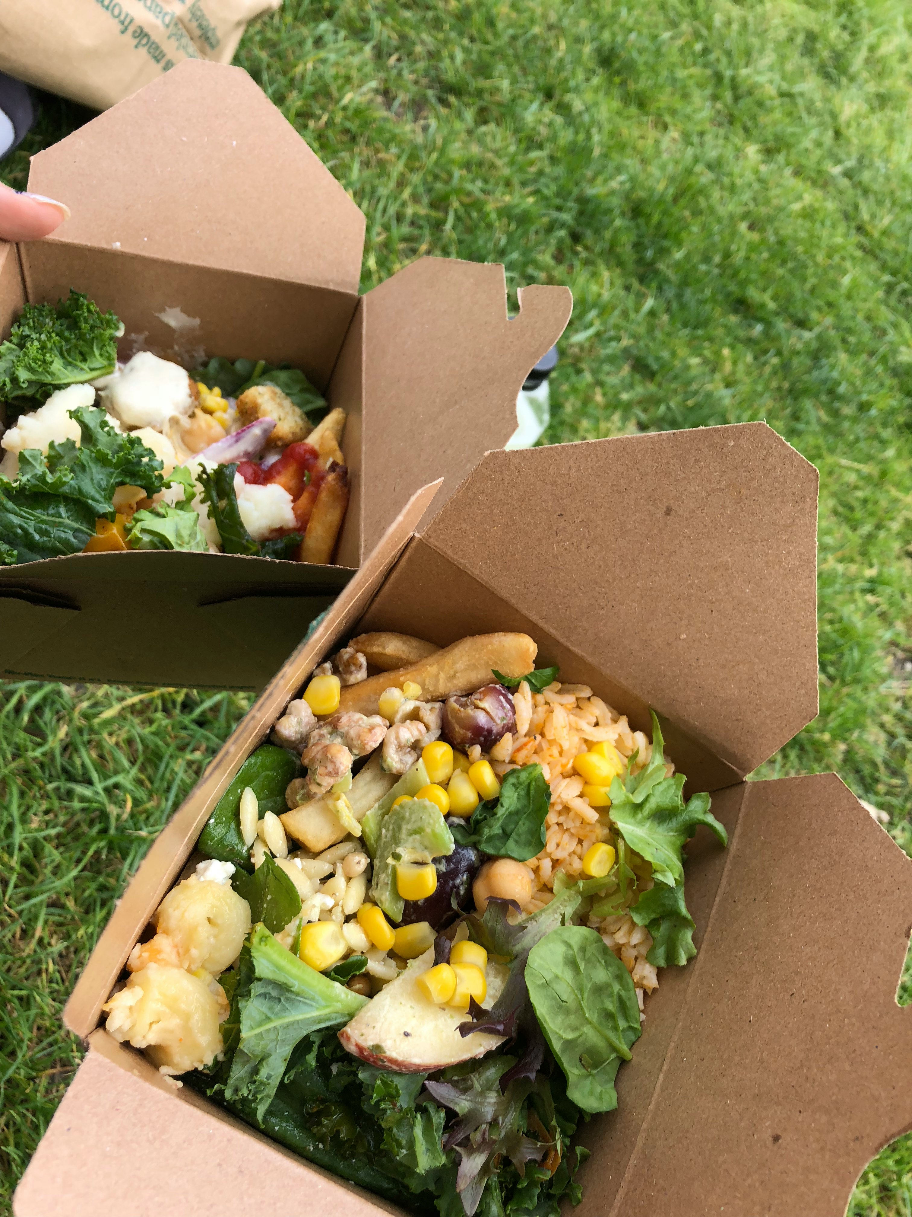 Salade dans des boîtes alimentaires en papier ouvertes sur l’herbe