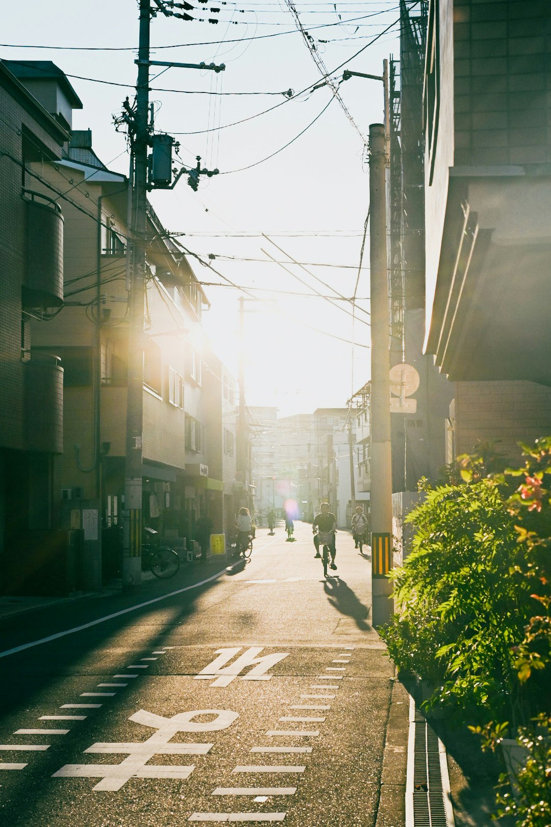 一條街道的景象,夕陽輝煌和電線
