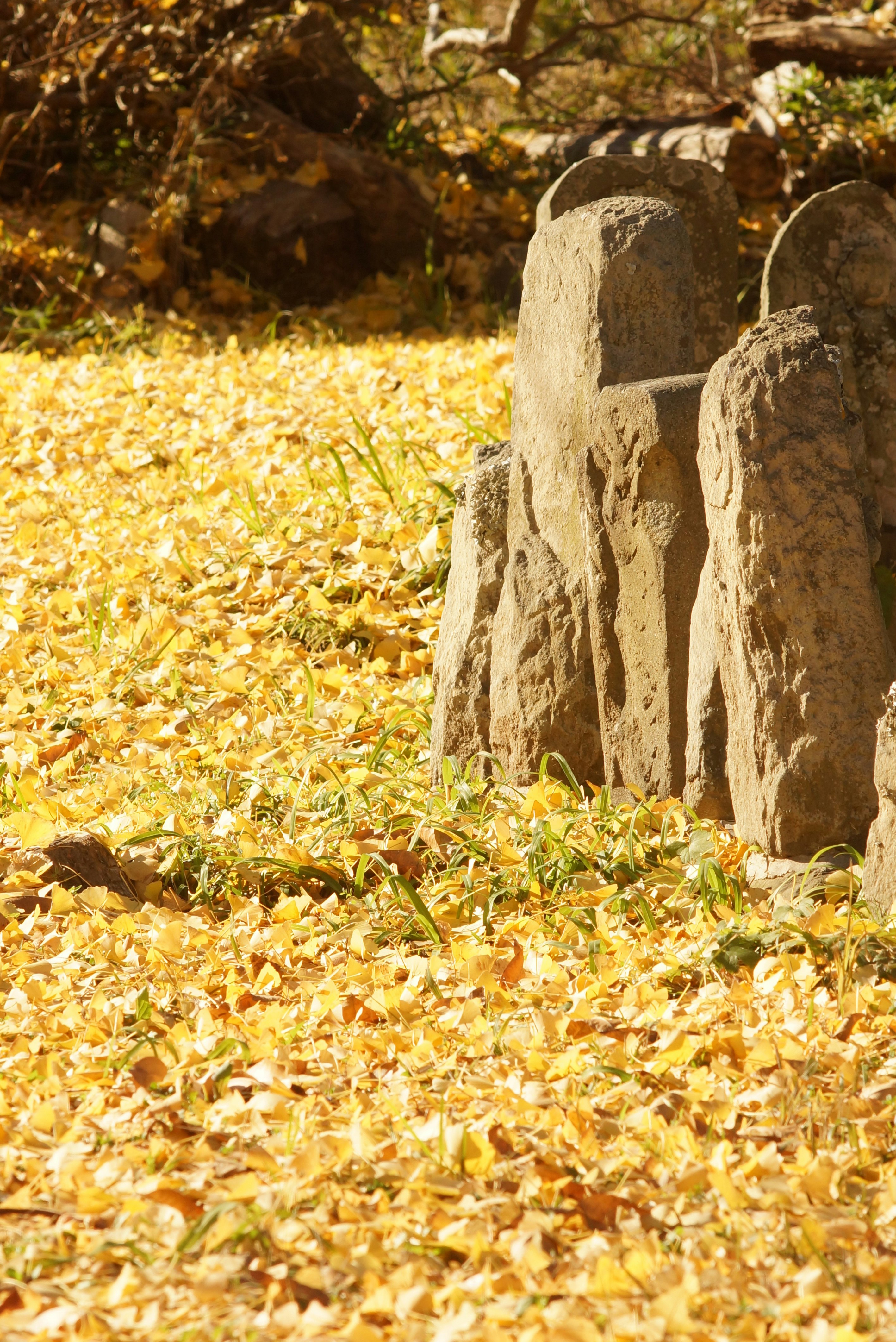 stone fence posts in a yard with fallen leaves