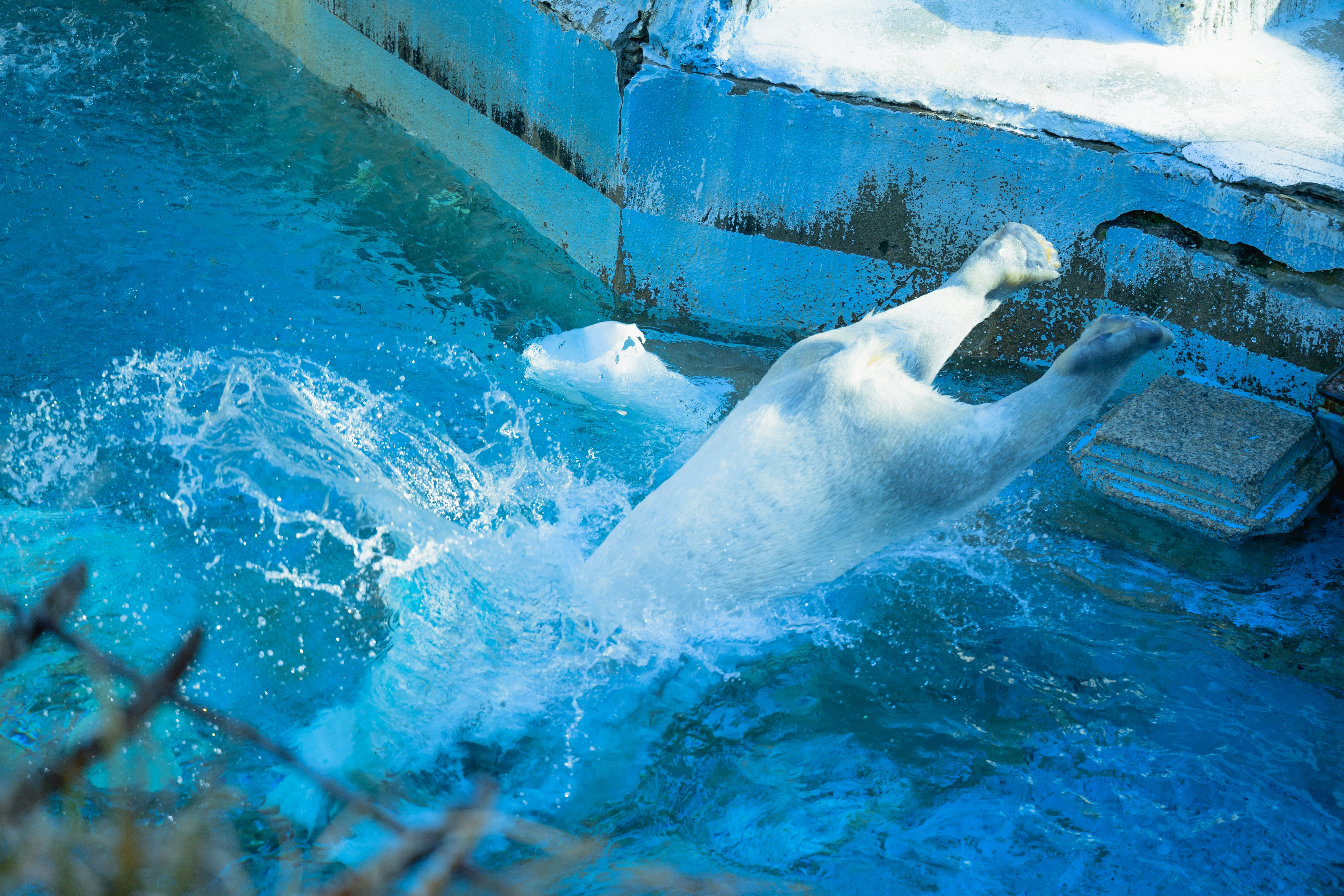 プールの壁に沿って泳ぐ人の水しぶきのある水中シーン