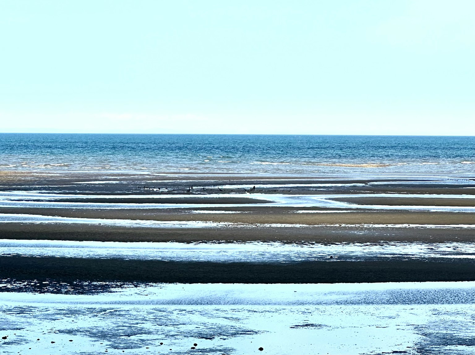 Une scène côtière tranquille avec océan et plage de sable