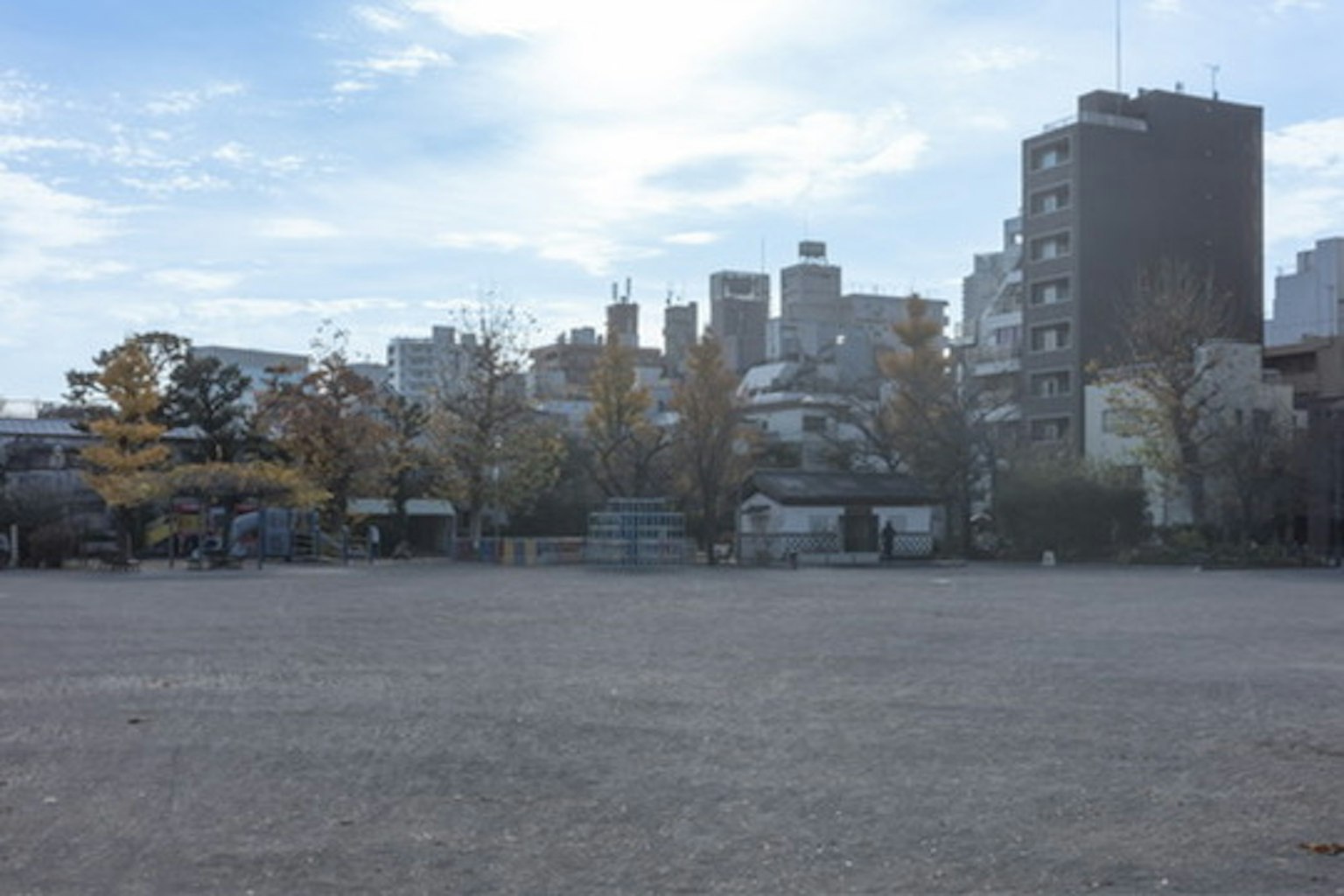 城市公园与周围建筑的背景