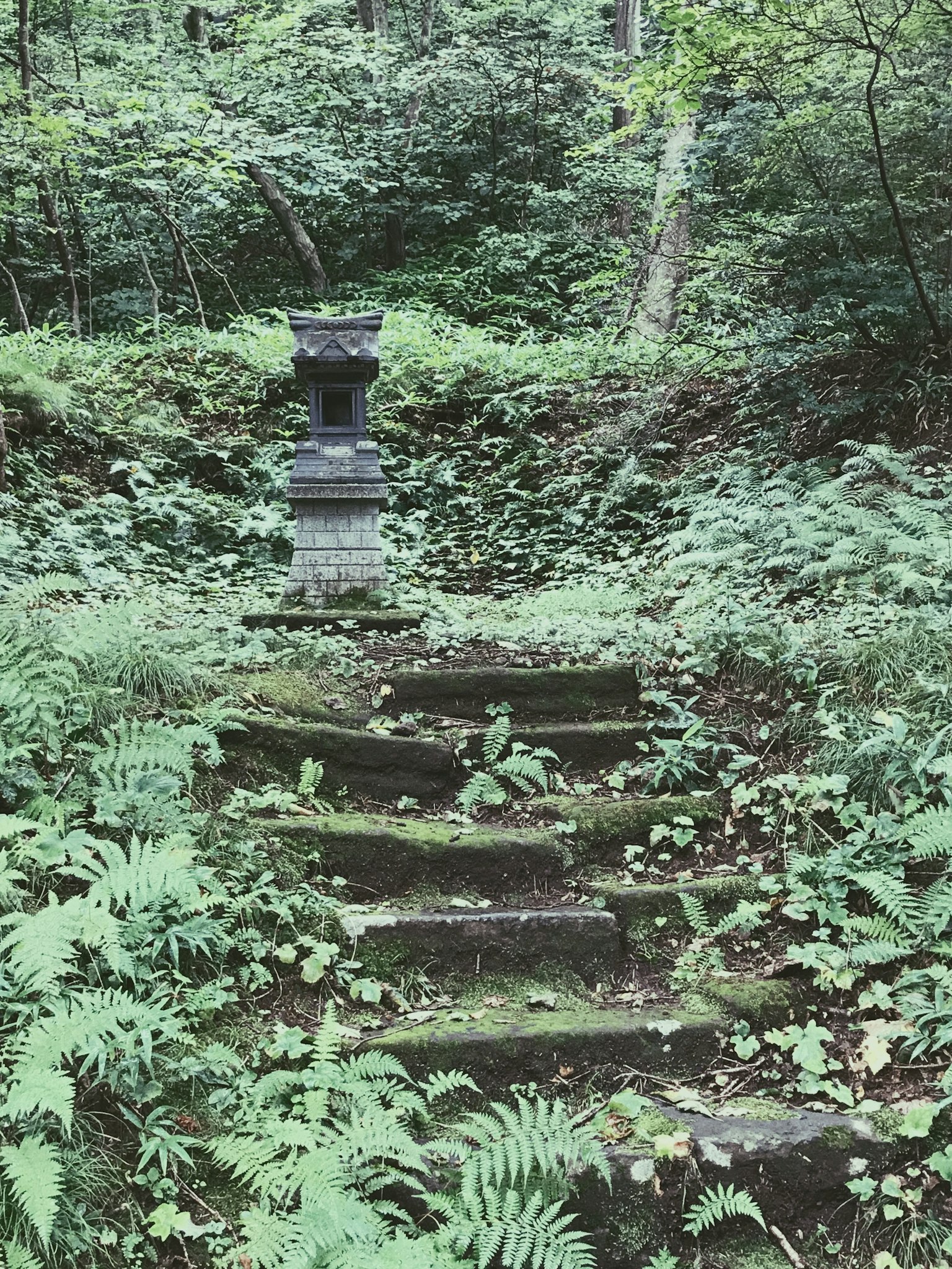 Antigos escalones de piedra que llevan a una linterna en un bosque frondoso