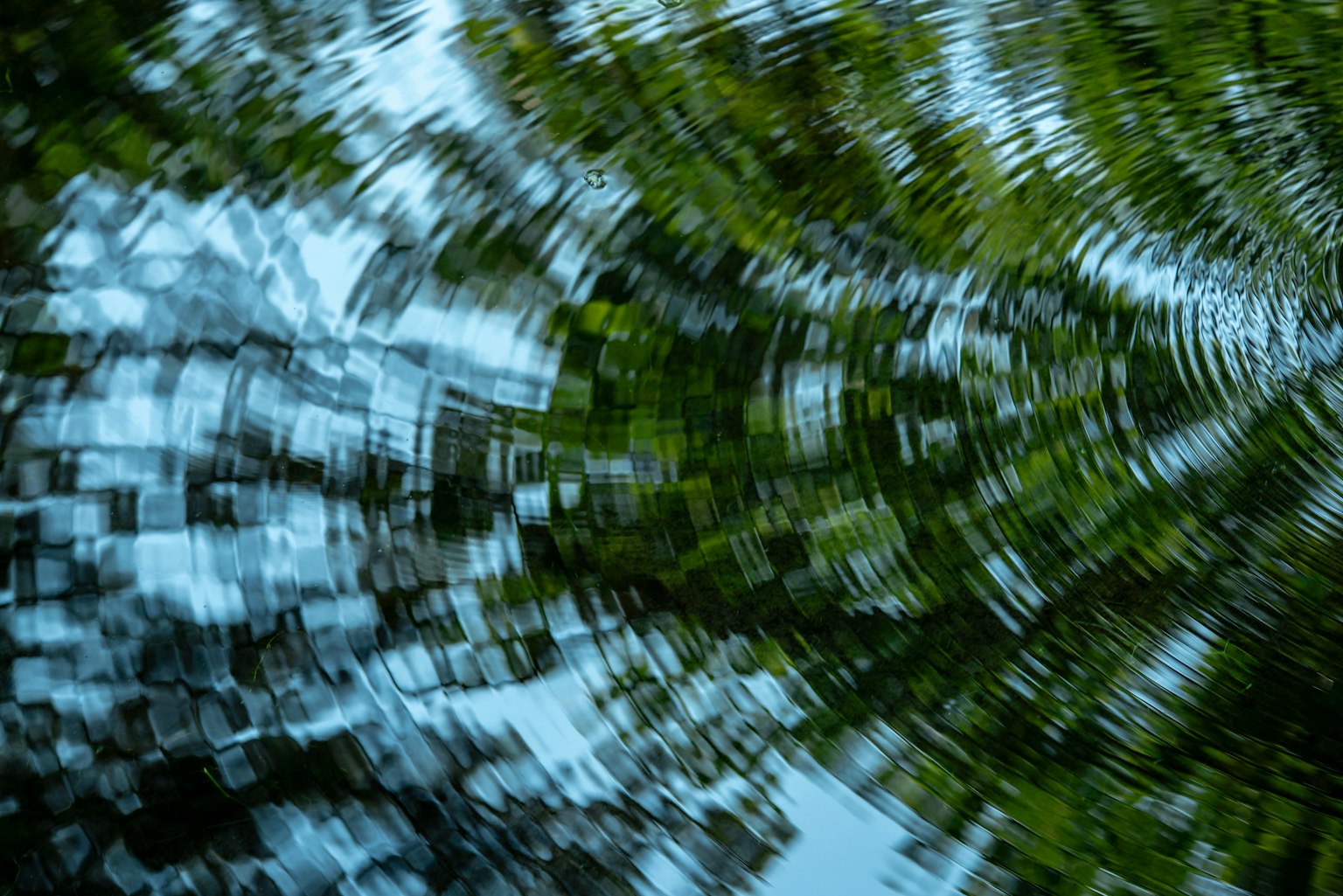 Immagine astratta di alberi verdi che vorticano contro un cielo blu