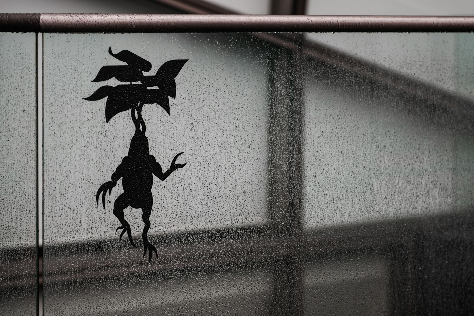 A silhouette of a frog on wet glass with a blurred background