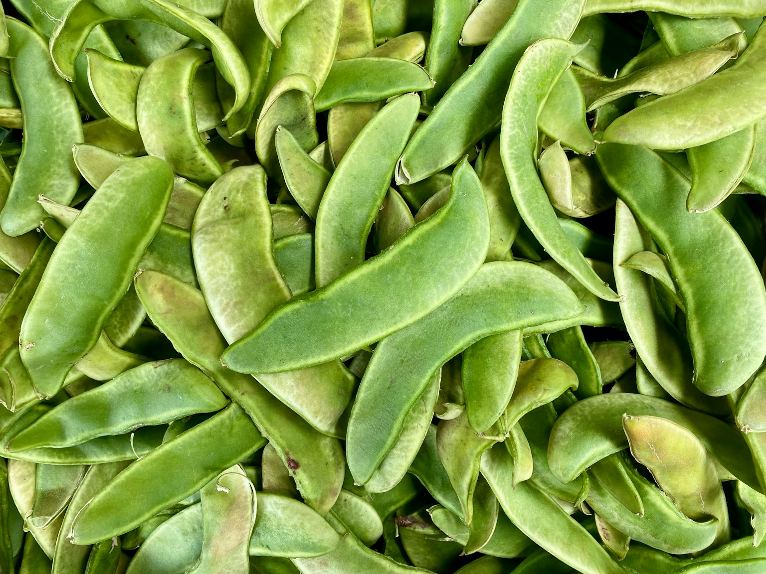 重叠的绿色豆荚特写