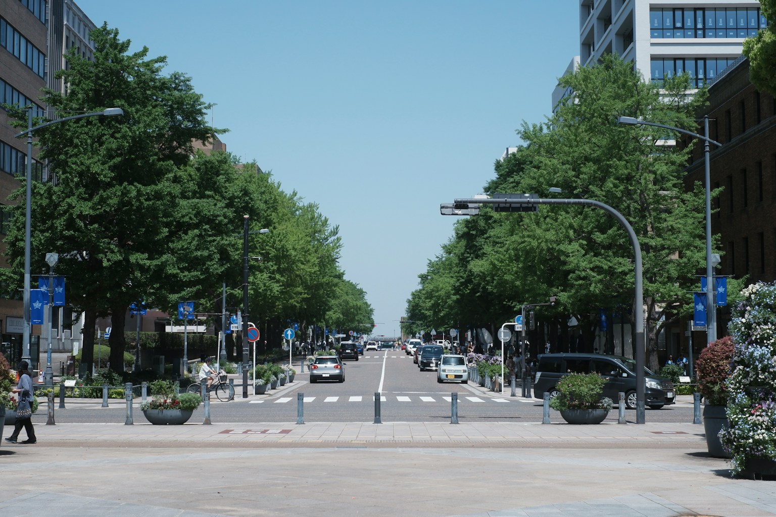 Une scène de rue sous un ciel bleu bordée d'arbres verts avec des passages piétons et des véhicules