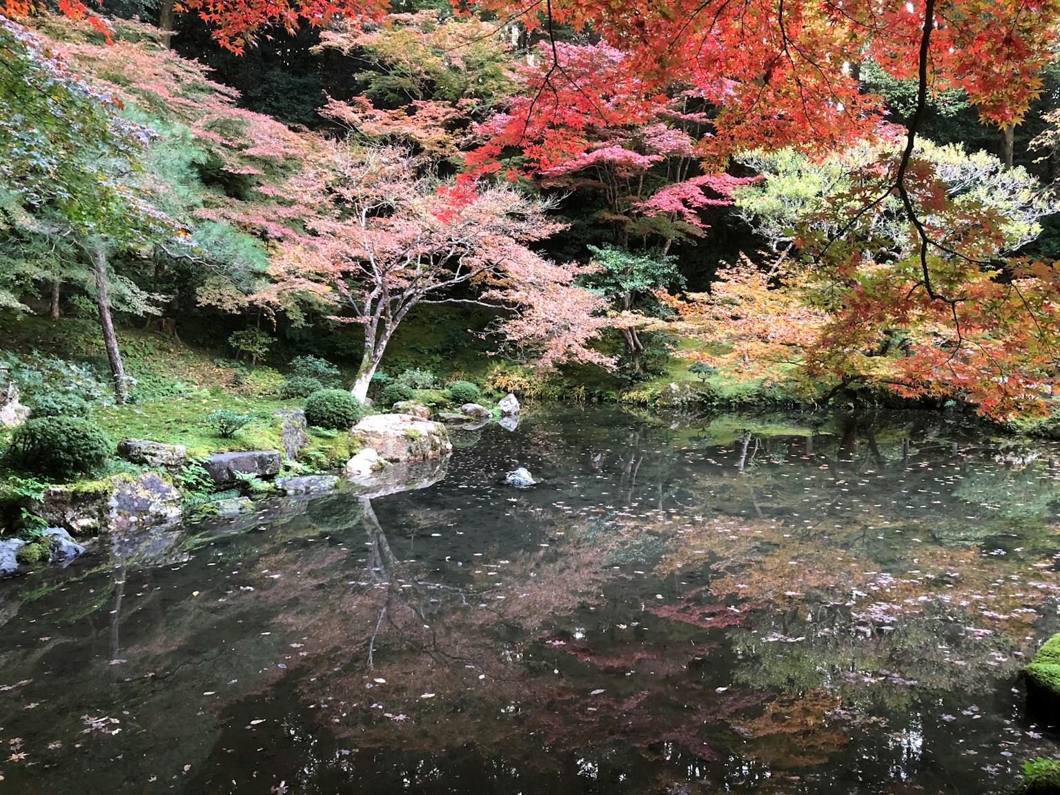 Stagno sereno circondato da un fogliame autunnale vibrante