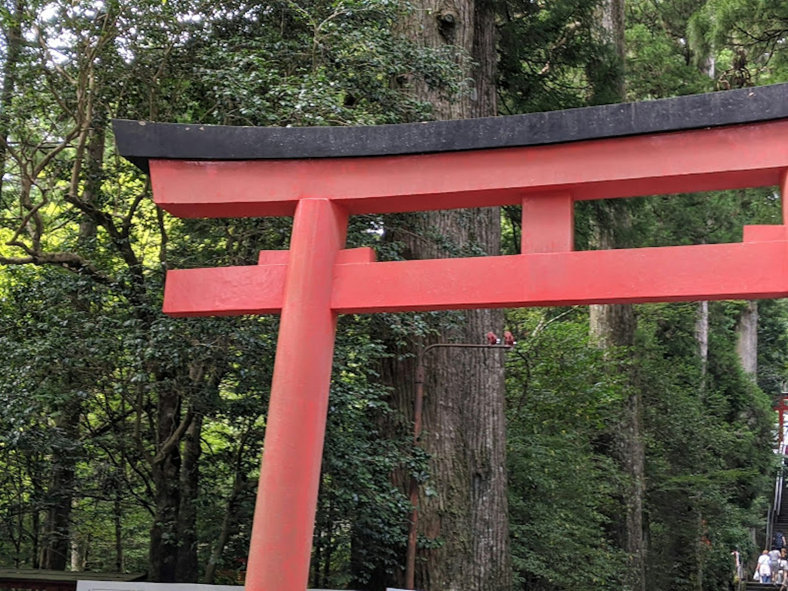 Ein rotes Torii umgeben von üppigen grünen Bäumen in einer Waldlandschaft