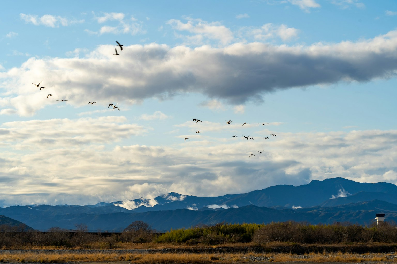 Vögel fliegen unter einem blauen Himmel mit Wolken und Bergen im Hintergrund