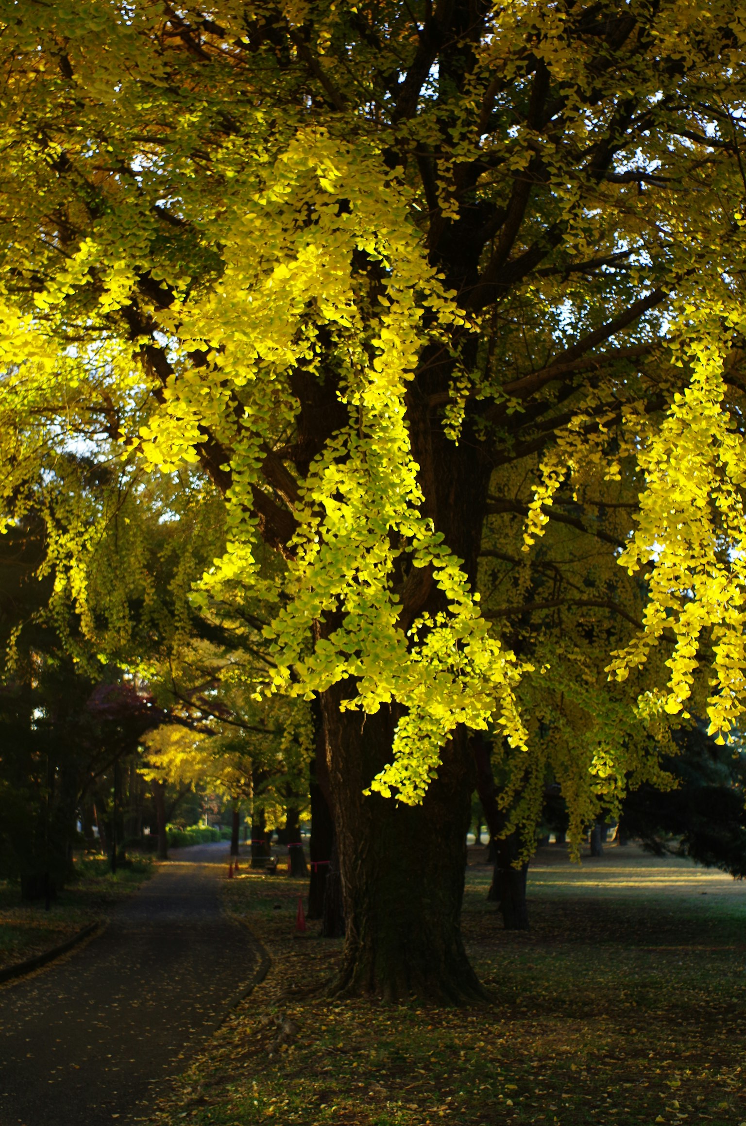 暗い背景にシンプルなデザインのグレーの四角形