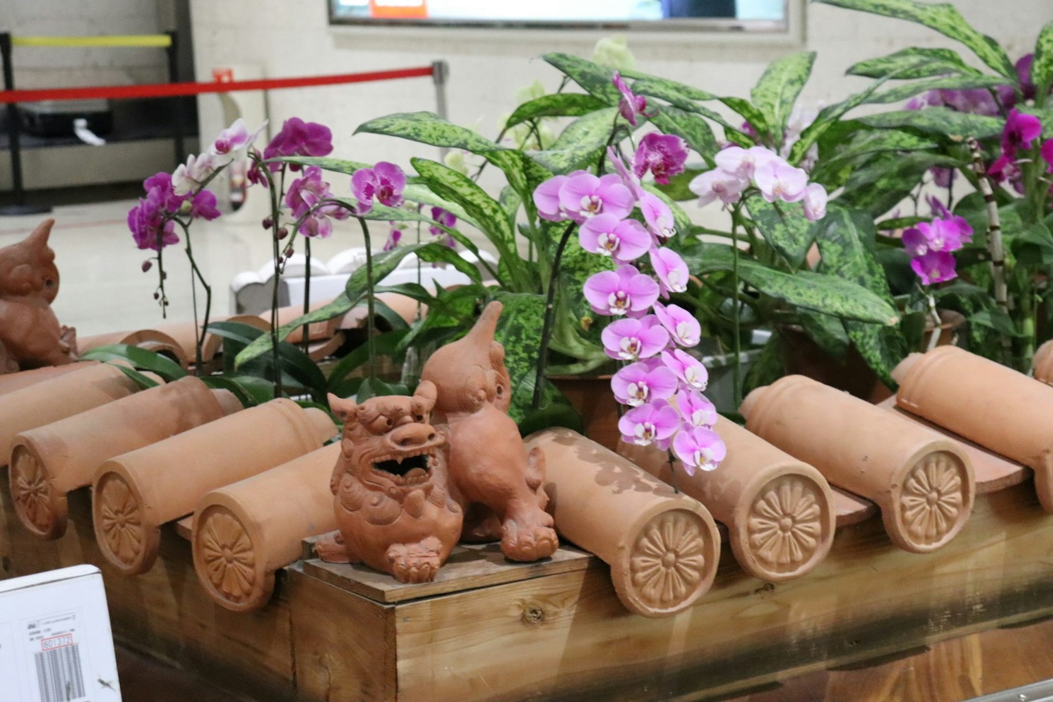 Một triển lãm cây đẹp với lan đầy màu sắc và điêu khắc gốm