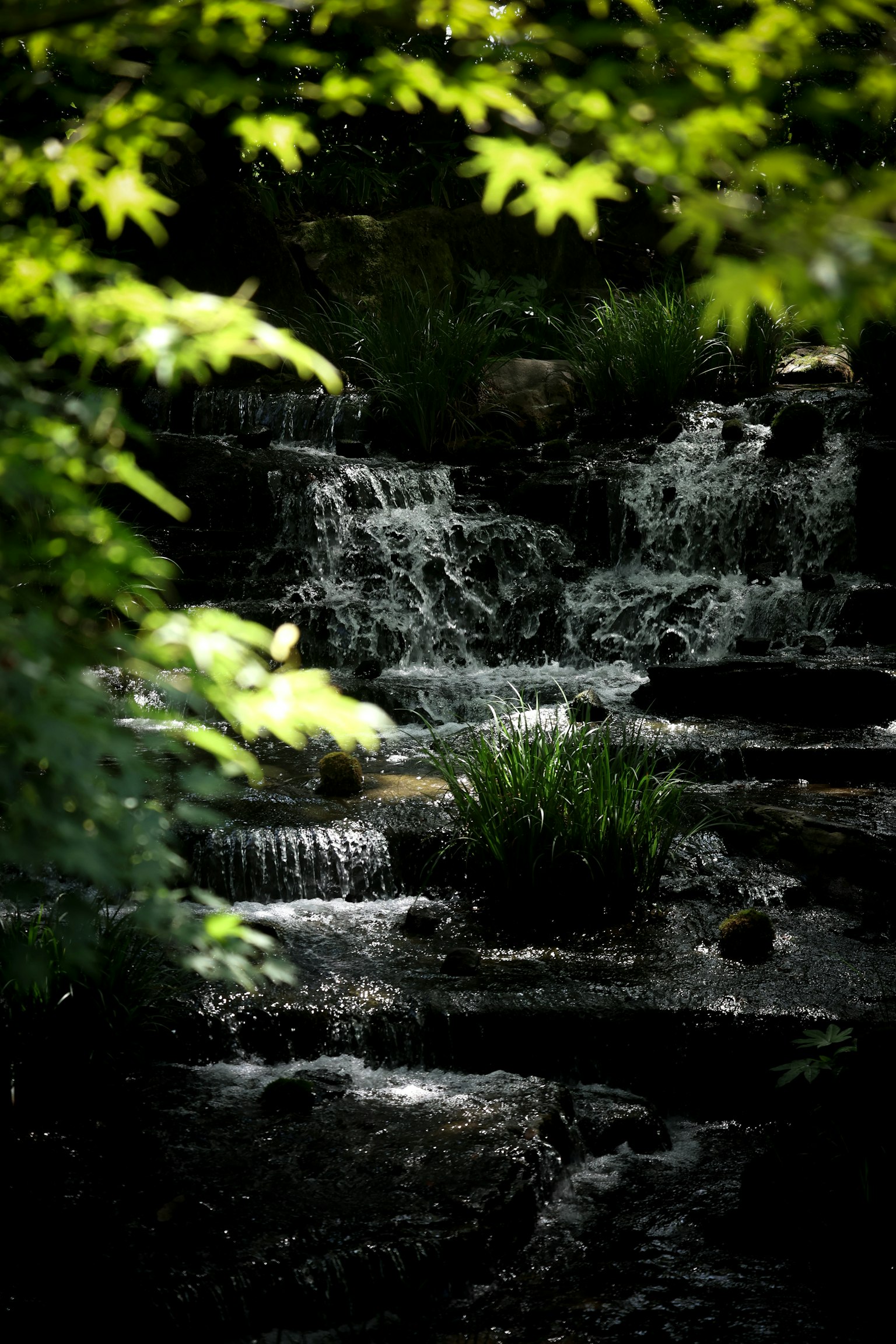 A beautiful scene of a small waterfall flowing among green leaves