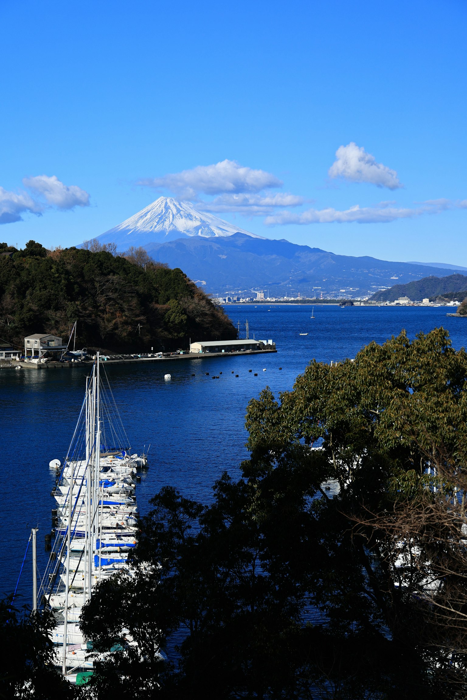 Vista escénica del mar con yates y el monte Fuji al fondo