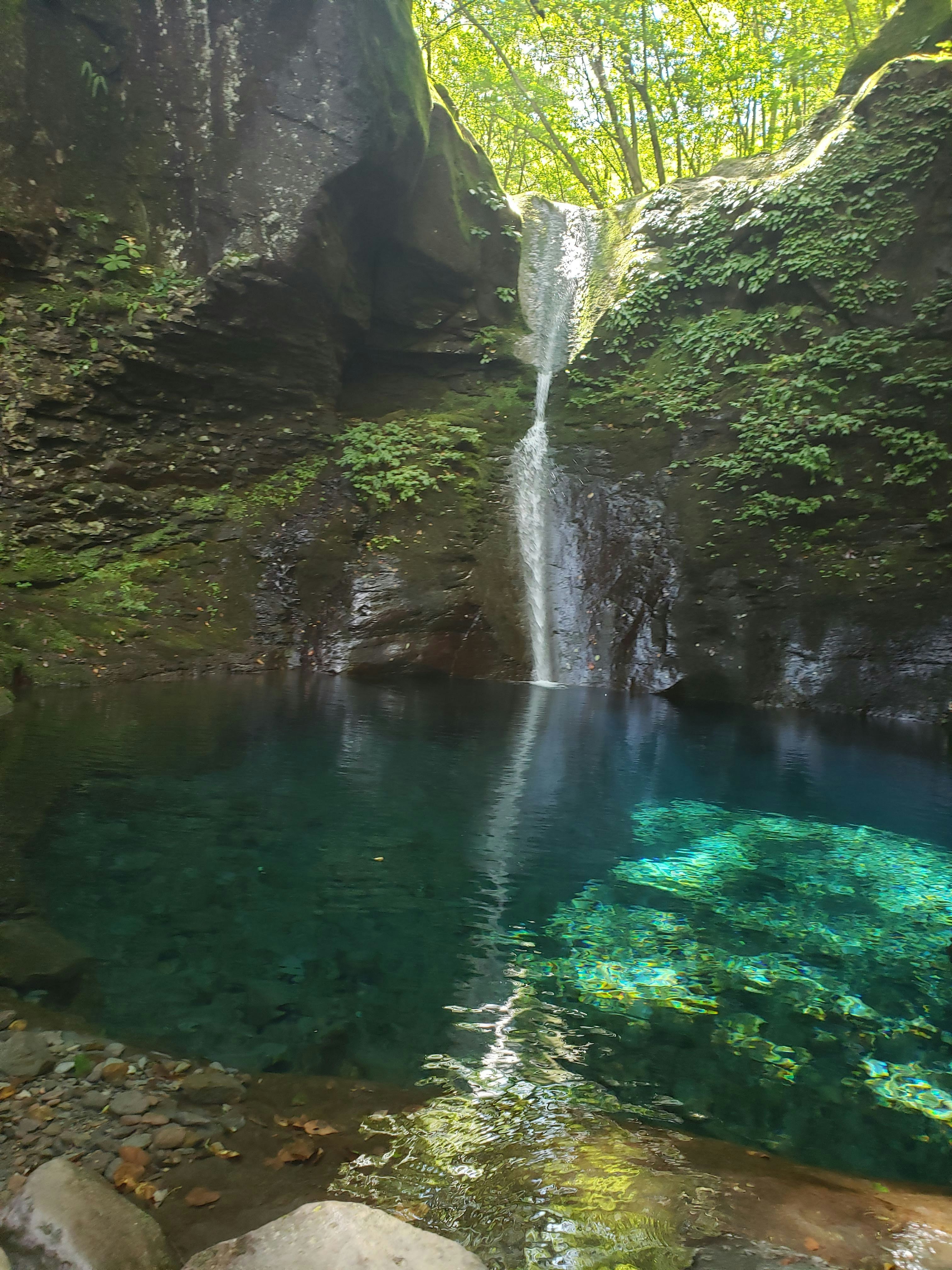 緑に囲まれた滝と澄んだ水の渓流景色