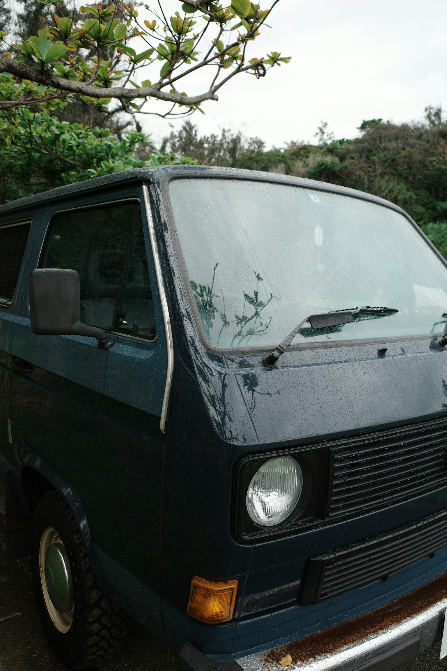 Close-up of a blue van showcasing the front and left angle with greenery in the background