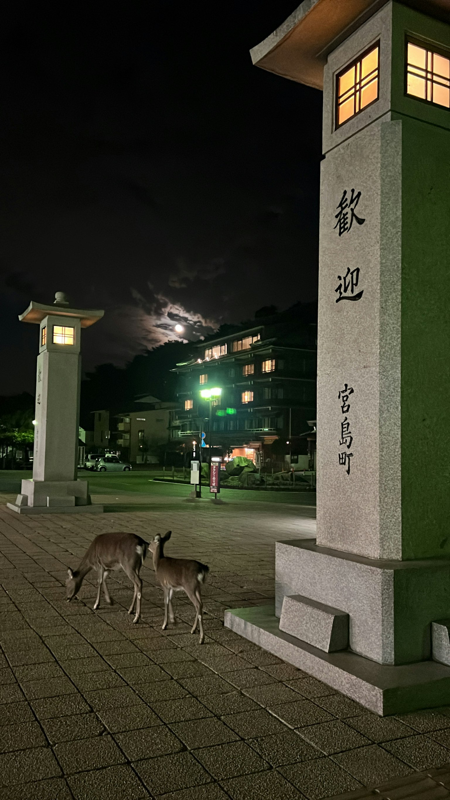 Deer in a park at night with lanterns and moonlight