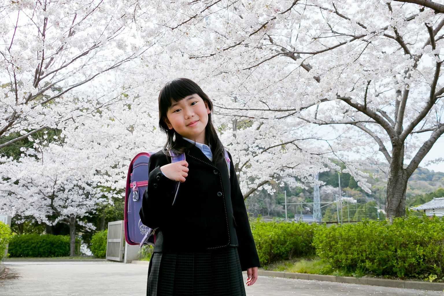Girl smiling under cherry blossom trees wearing black uniform and carrying a purple backpack
