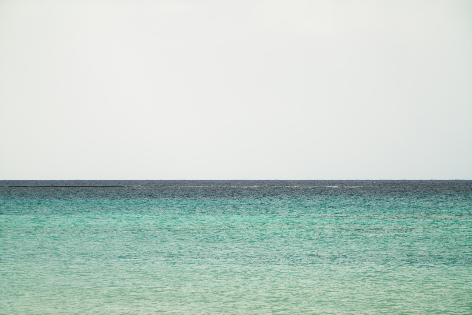photo-zvMJOojwqdVXAdD1lcxj-image