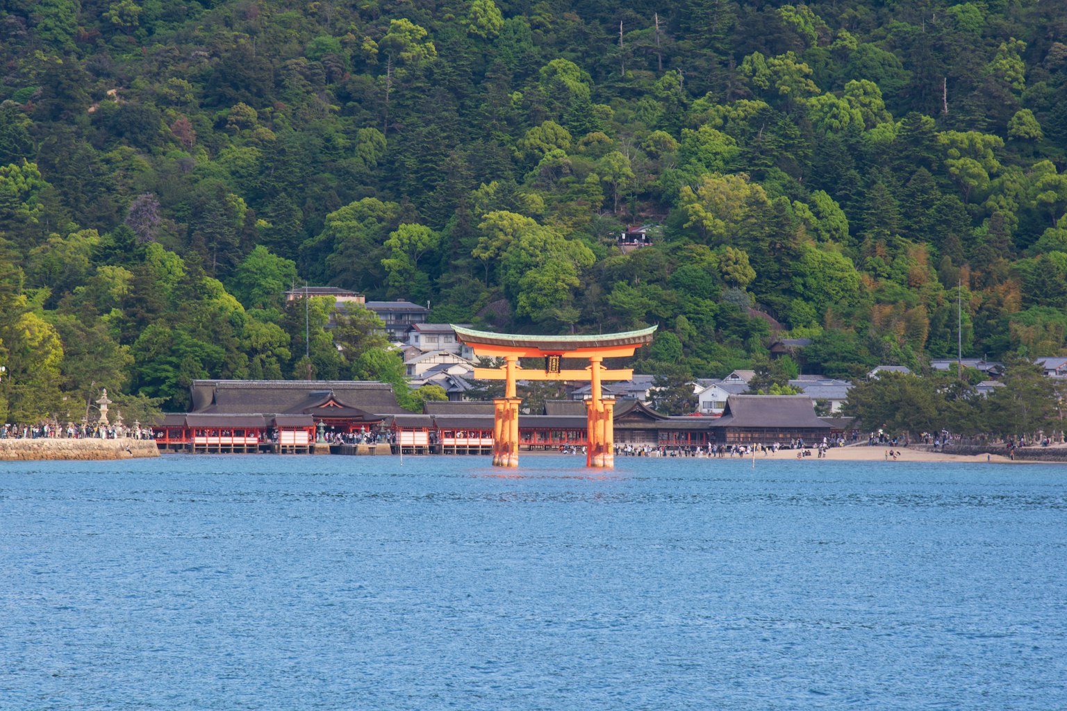 Cổng torii nổi trên biển với những ngọn đồi xanh tươi ở phía sau