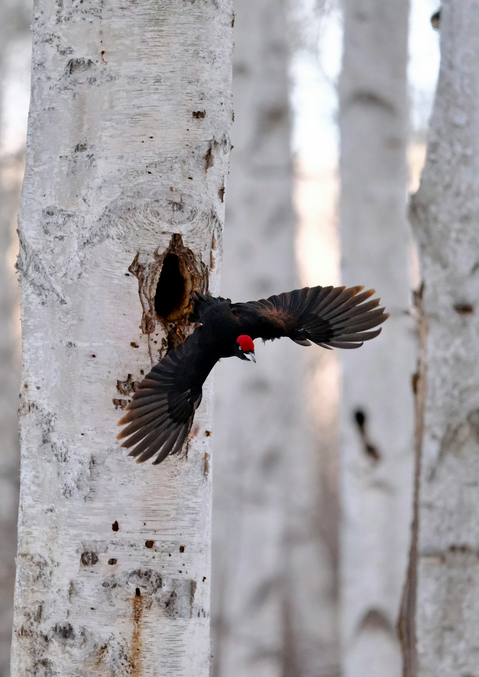 photo-zvhKJq7q9YHVS1gGC6pG-image