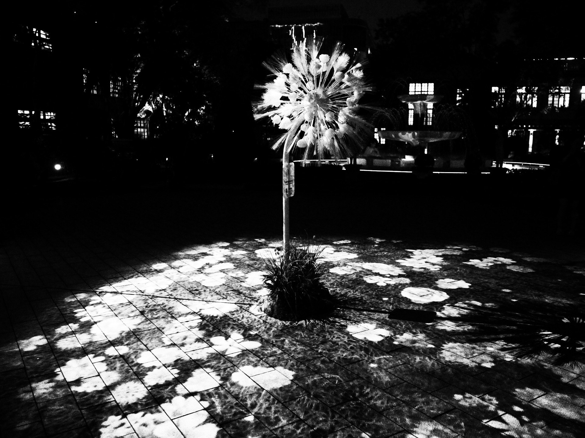 夜の公園で光る噴水と街の灯りのある広場