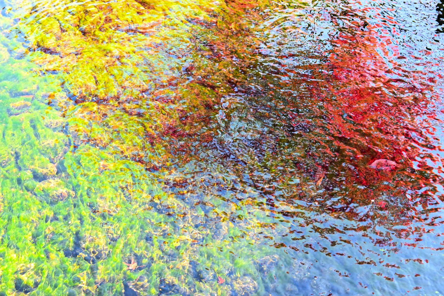 水面上自然的多彩倒影