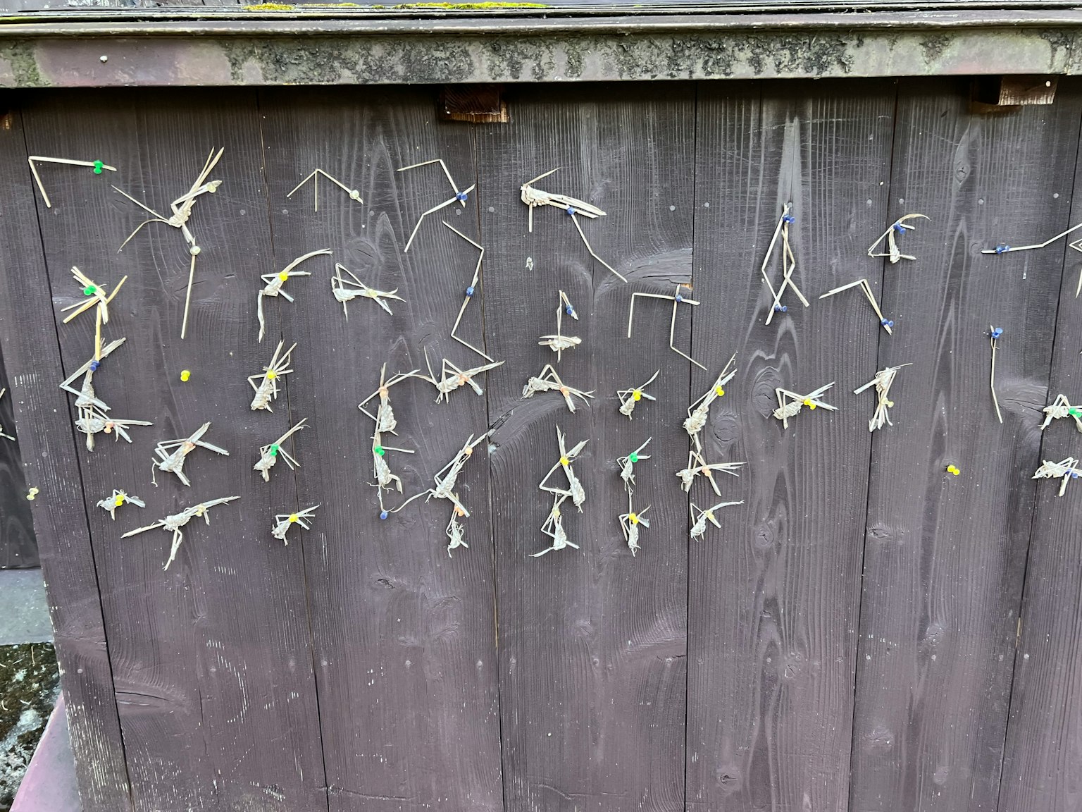 Figuras hechas de palitos finos dispuestas en una pared de madera