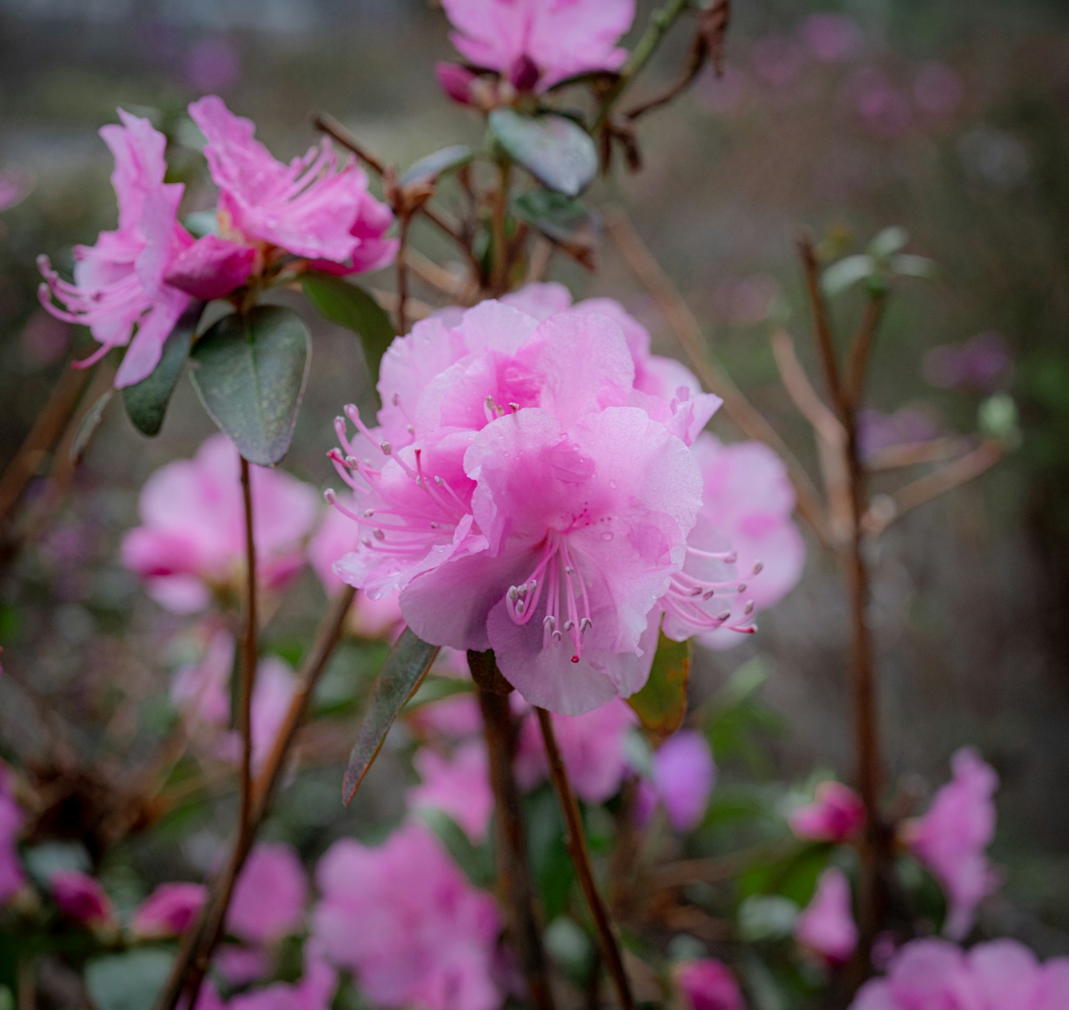 photo-zxj564oKFEi03dJxsQD3-image