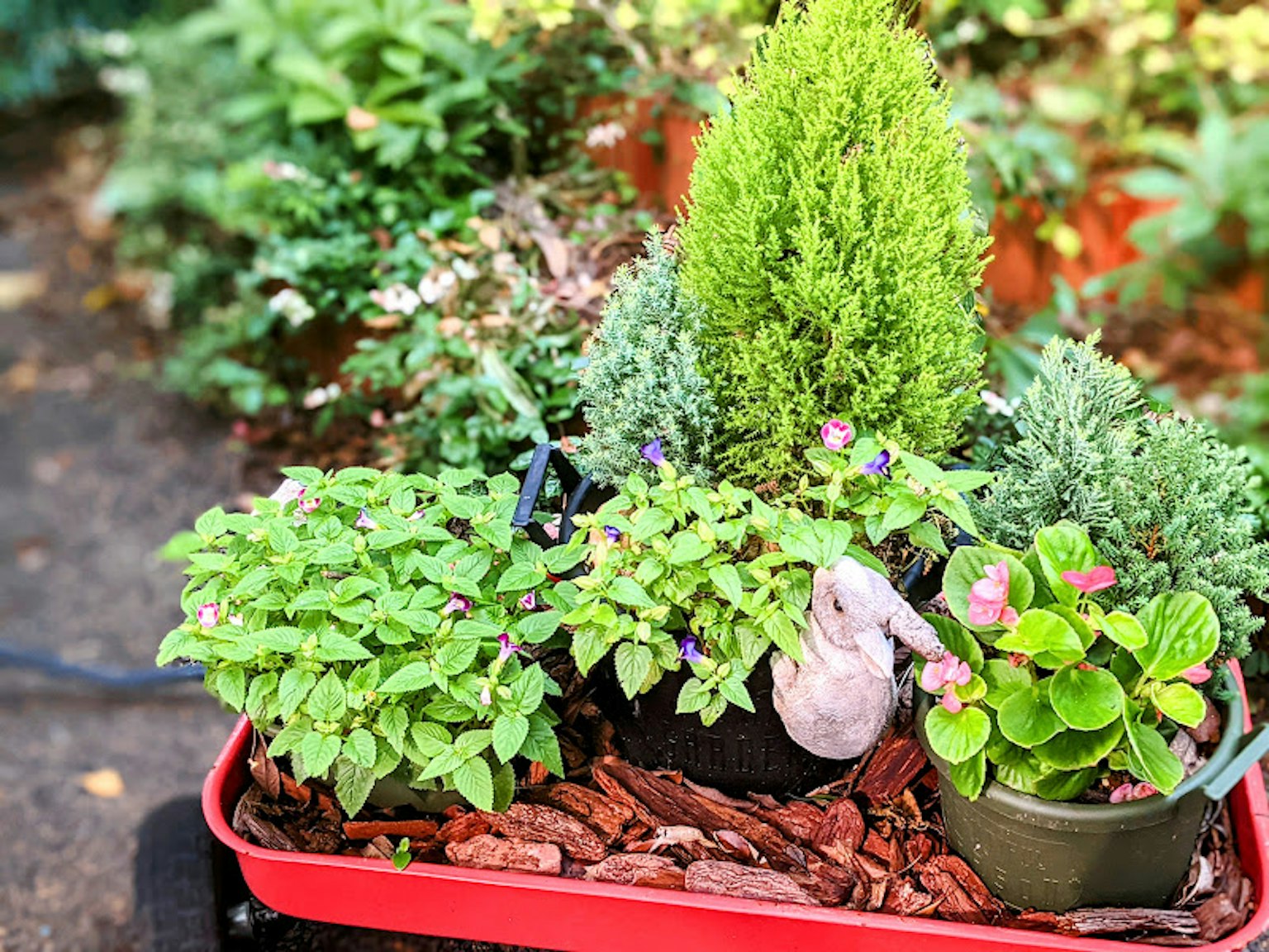 Ein lebhafter roter Pflanztopf voller Pflanzen und Grün