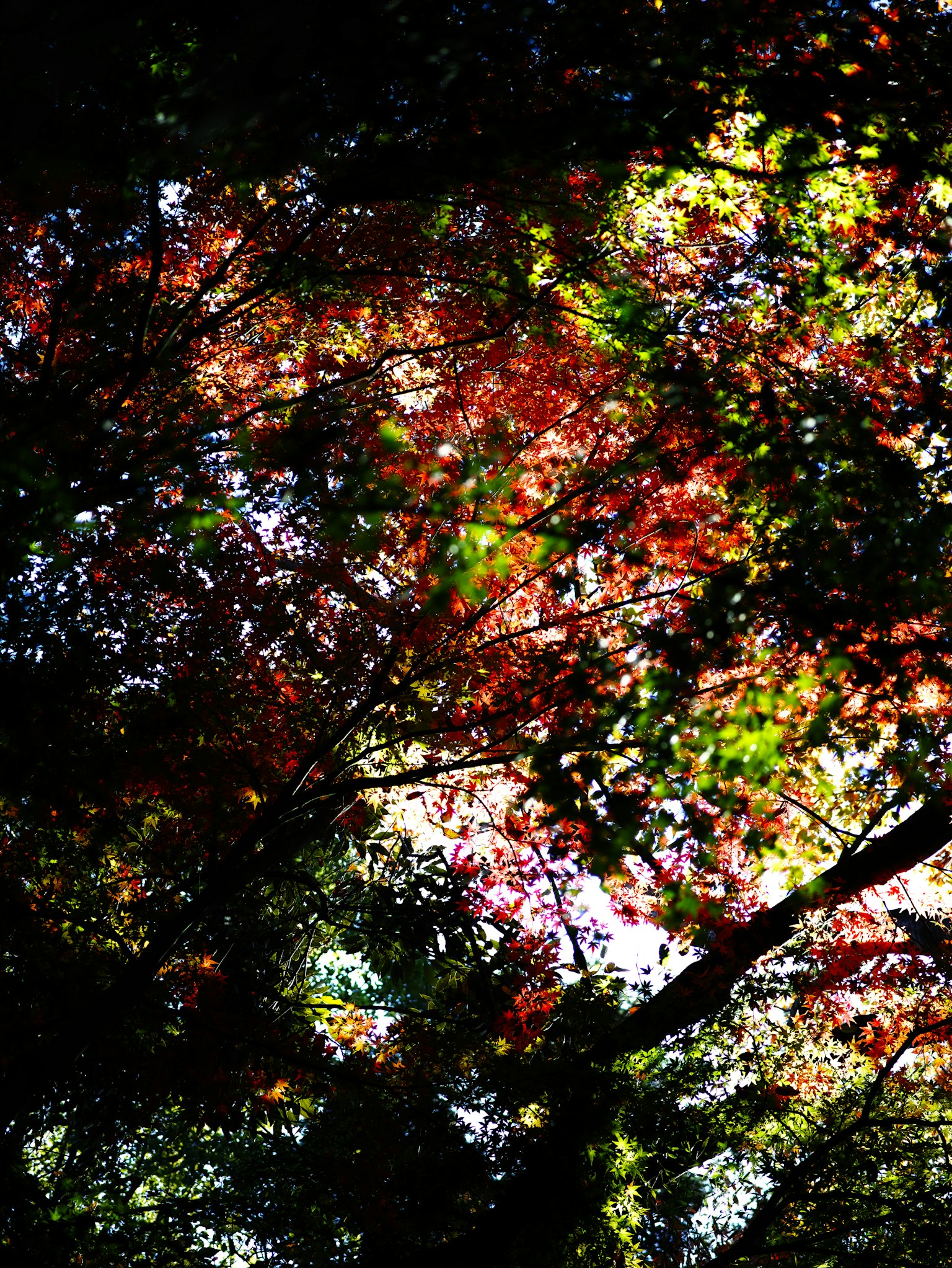 photo-zyQpby34Wq6RV0JOLrHS-image