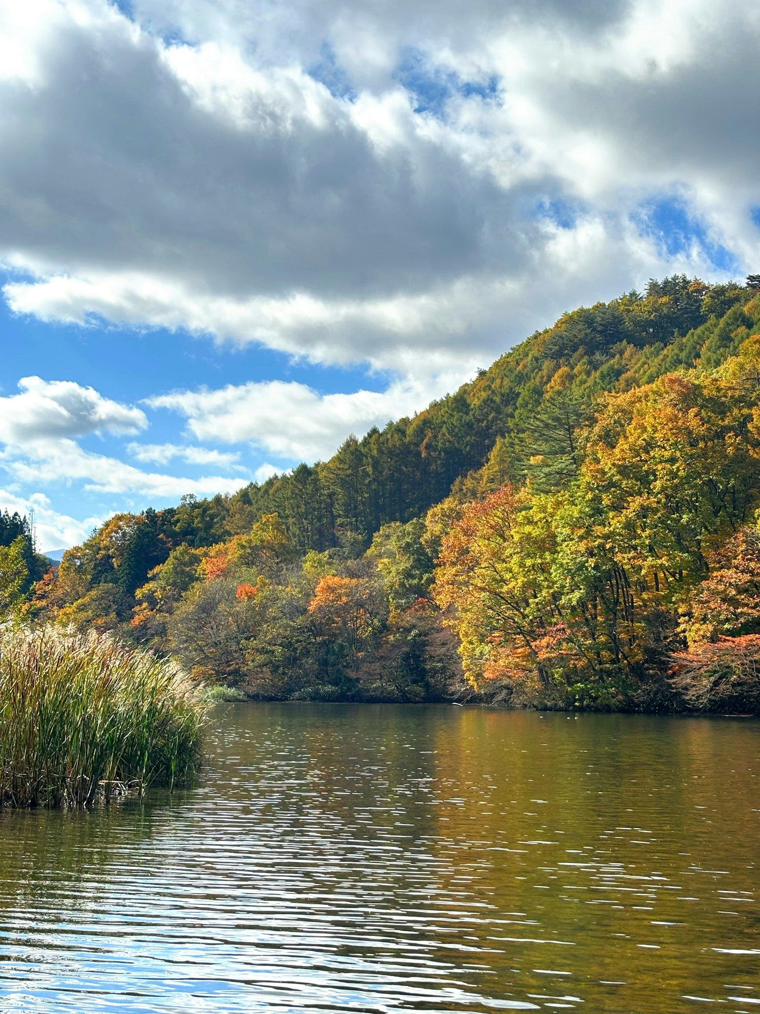Scenic view of a tranquil lake surrounded by autumn-colored trees
