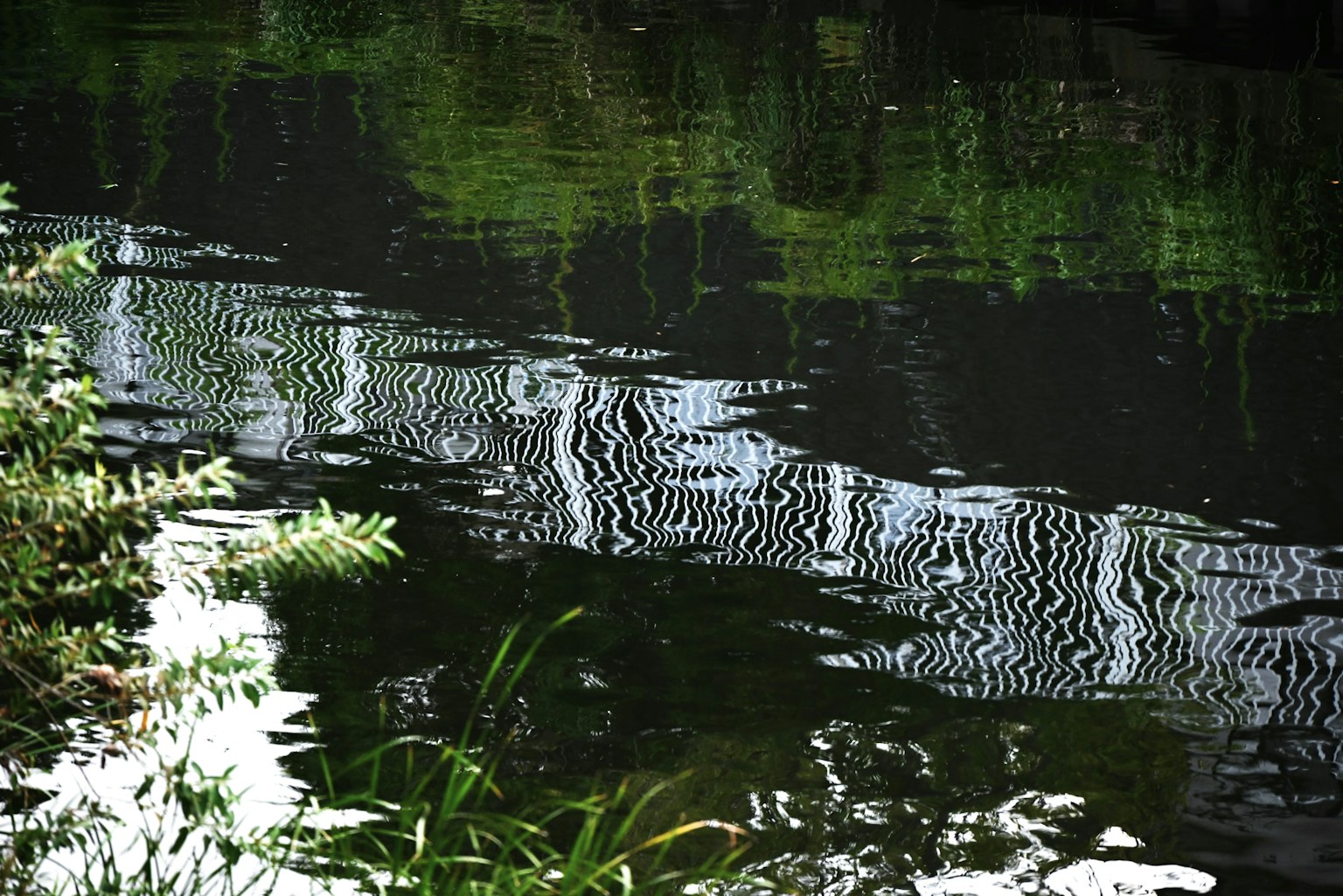 Ruhige Flusslandschaft mit wellenförmigen Wasserreflexionen und grünem Laub