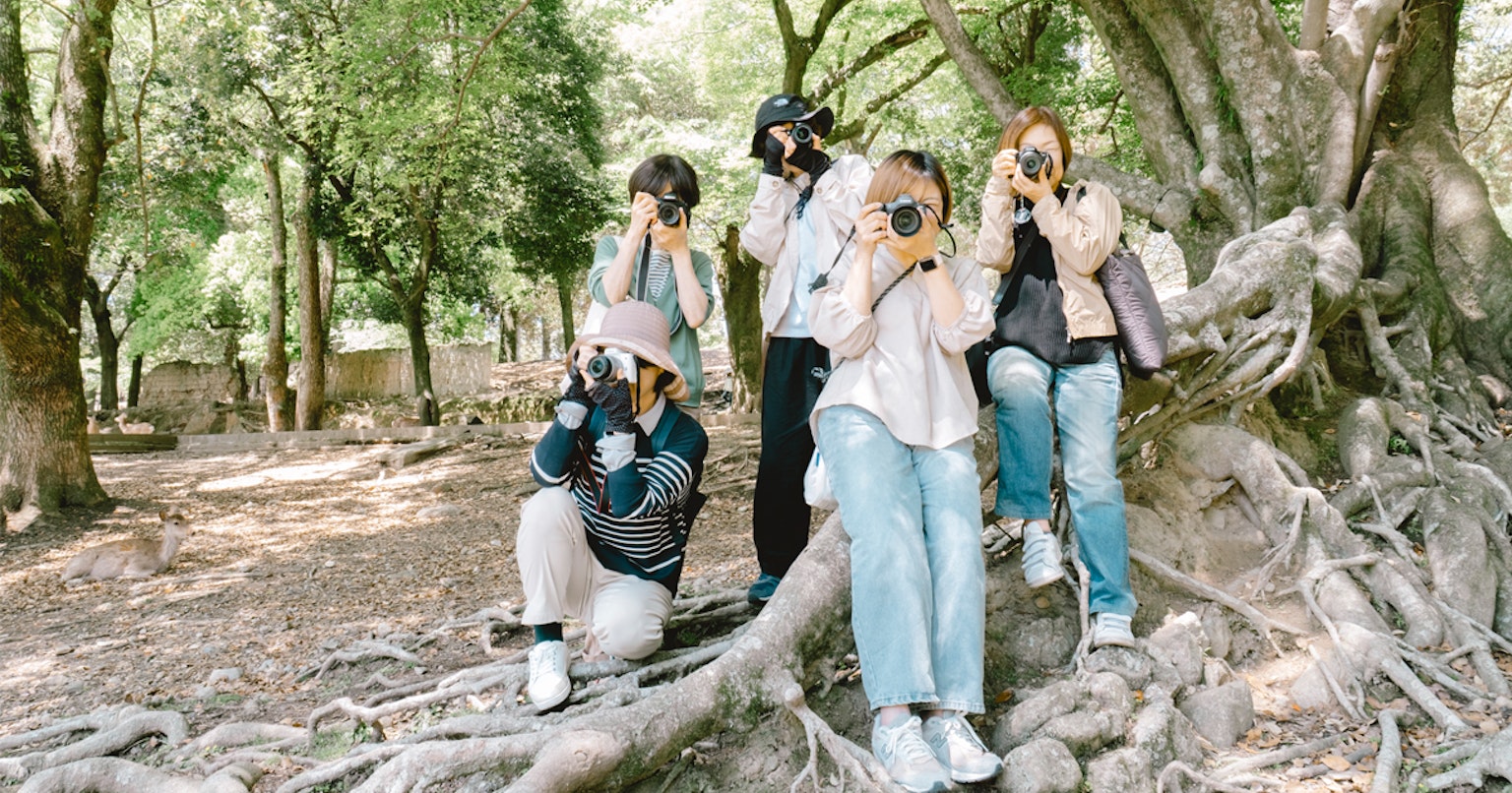 PHOTO GARDEN-cover-image-kTyLGNWYTzymK5GnJ23K
