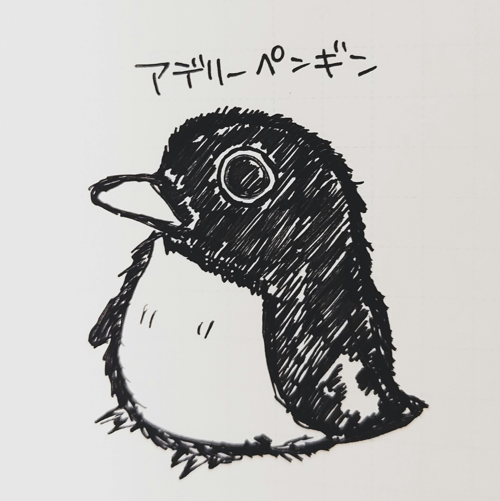 @ぺん弌