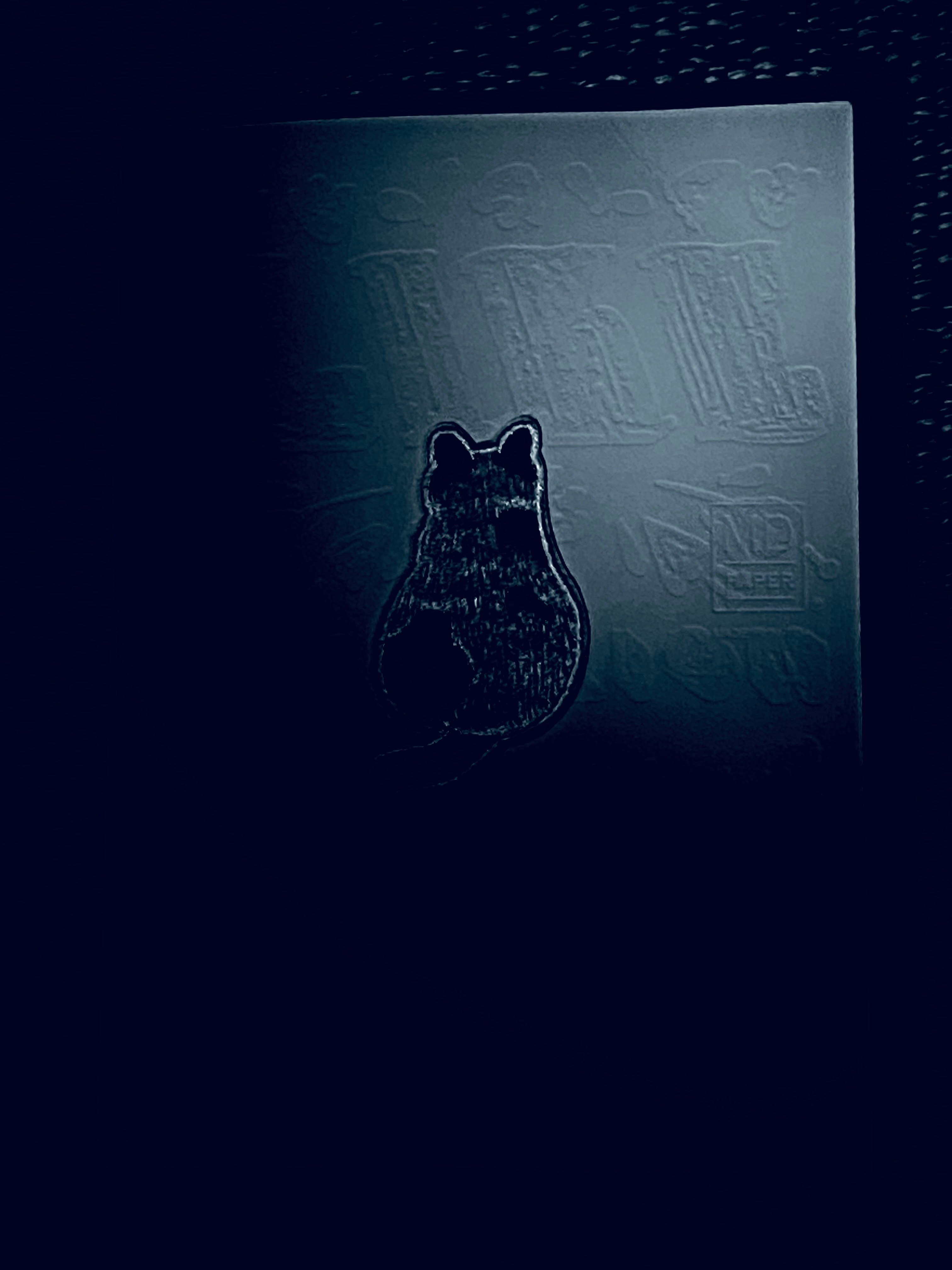 @黑貓日記