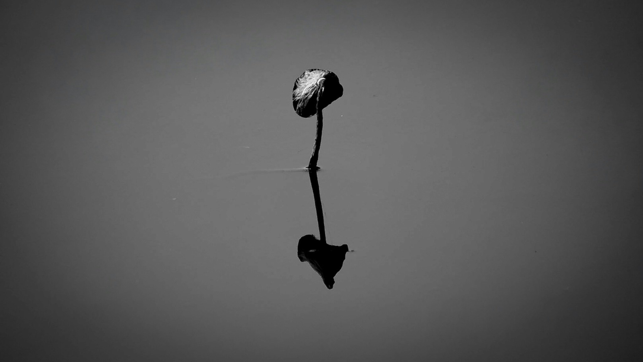 @7SOqWX7Yq4d77DMH7KsBSOMXnT92