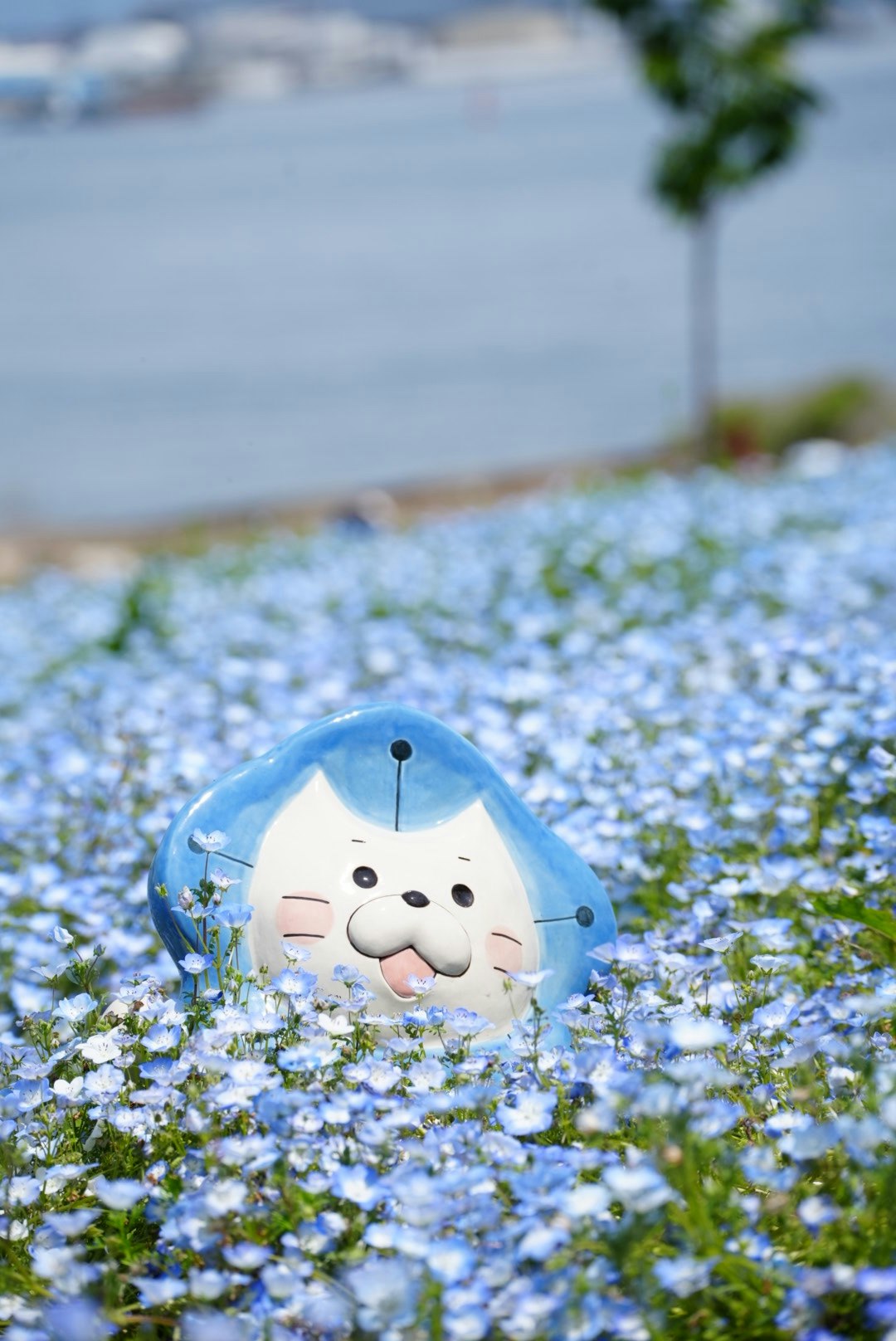 @yuki