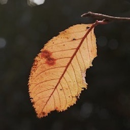 @Take_Kuroki