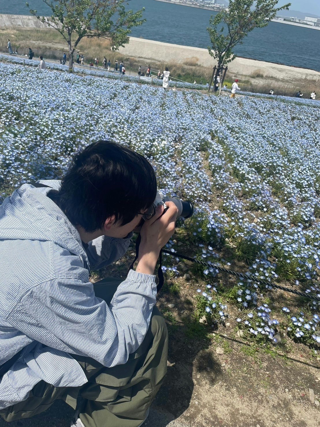 @masa