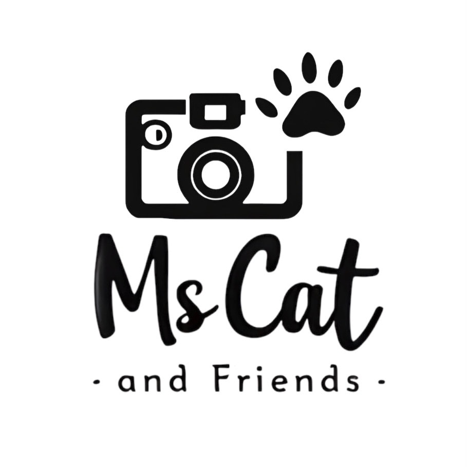 @Ms Cat And Friends