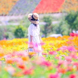 @yuki
