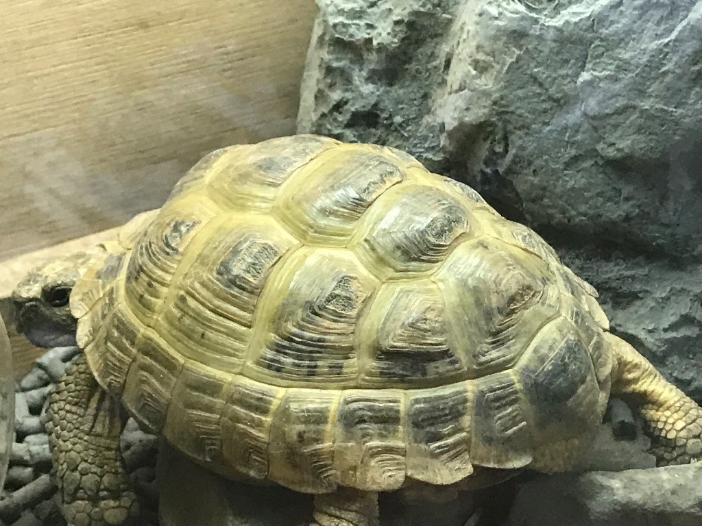 @R8bvYBUSgWTxVEjQ35e02m3sunE3