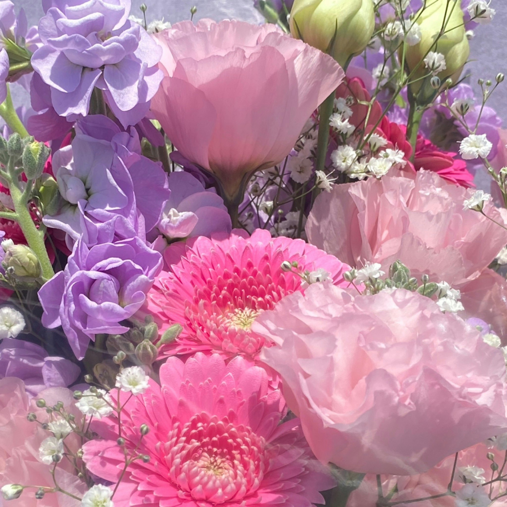 @エディ