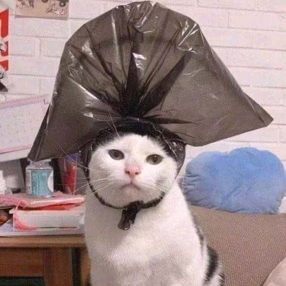 @aELsSnsiyXOGJOxtn2arGAkIeua2